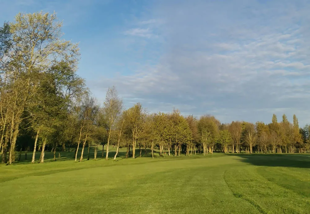 Tree-lined fairway at Lee Park Golf Club with a closely mown approach and blue sky.